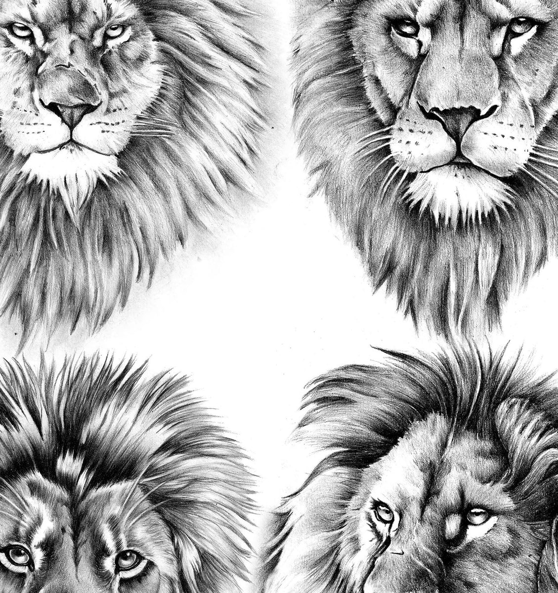 4 x Realistic lion tattoo design digital download – TattooDesignStock